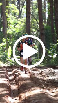 BIB:  <button type="button" onclick="openModal(26569462)" class="btn btn-primary btn-sm float-right" data-toggle="modal" data-target=".modal-high-quality">
                <i class="fa fa-download"></i> Download
                </button>